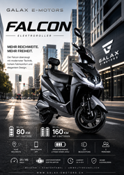Falcon - Galax E Motors