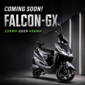 Falcon-GX