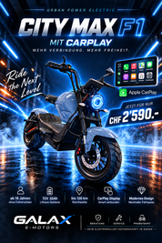 City Max F1