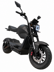 City Max F1